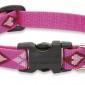 LupinePet 1/2-Inch Puppy Love 10-16-Inch Adjustable Dog Collar for Small Dogs